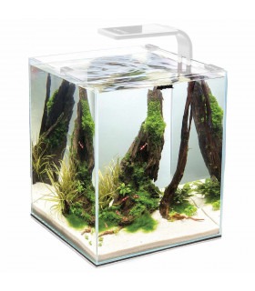 Акваріум Aquael для креветок SMART 2.0 / Day & Night білий Aquael - 1 - 