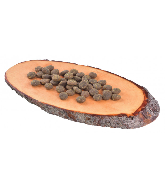 Корм Carnilove True Fresh сухий для дорослих собак всіх порід Карнілав Тру Фреш з рибою Carnilove - 3 - 