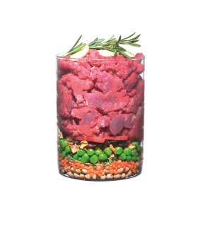 Корм Carnilove True Fresh сухий для дорослих собак всіх порід Карнілав Тру Фреш з яловичиною Carnilove - 1 -  2