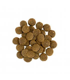 Корм SAVORY сухий для собак великих порід з індичкою та свіжим ягням Savory - 2 -  2