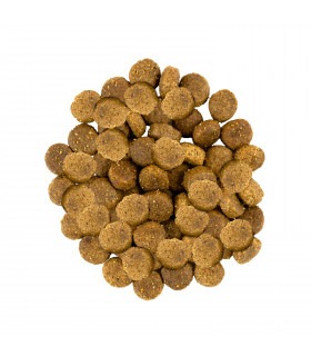 Корм SAVORY сухий для собак середніх порід зі свіжим ягням та індичкою Savory - 2 -  2