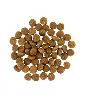 Корм SAVORY сухий для цуценят усіх порід зі свіжою індичкою і куркою Savory - 2 -  2