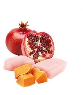 Вологий корм для собак Farmina N&D Grain Free Pumpkin Chicken Adult Mini беззерновий з гарбузом, куркою, гранатом 140 г Farmina  2