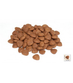 Корм BONACIBO ADULT DOG для дорослих собак з м'ясом курки, анчоусами та рисом BonaCibo - 1 -  2