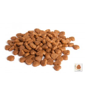 Корм BONACIBO ADULT CAT LAMB & RICE для дорослих котів з м'ясом ягняти та рисом BonaCibo - 1 -  2