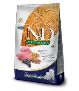 Farmina N&D LOW GRAIN Низькозерновий сухий корм для цуценят середніх та великих порід з ягням та чорницею Farmina - 1 - 