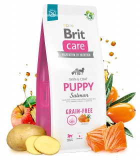 Корм для цуценят Brit Care Dog Grain-free Puppy беззерновий з лососем Brit Care - 1 - 