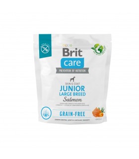 Корм для молодих собак великих порід Brit Care Dog Grain-free Junior Large Breed беззерновий з лососем Brit Care - 1 -  2