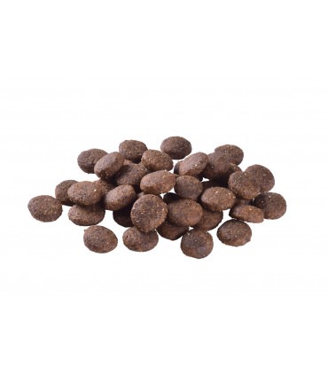 Корм для молодих собак великих порід Brit Care Dog Grain-free Junior Large Breed беззерновий з лососем Brit Care - 5 - 