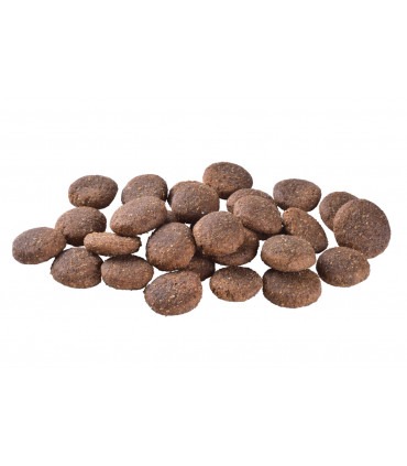 Корм для собак великих порід Brit Care Dog Grain-free Adult Large Breed беззерновий з лососем Brit Care - 4 - 