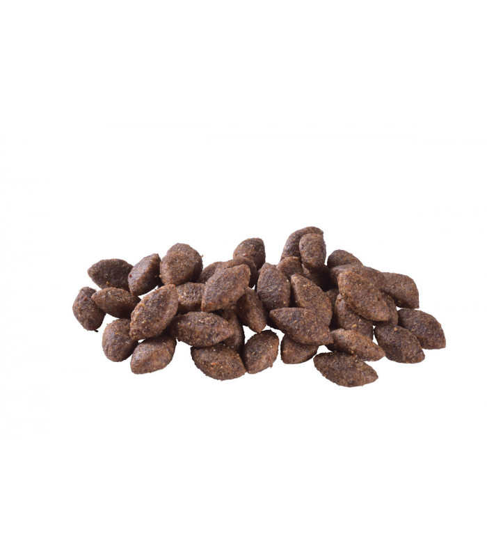 Корм для собак з підвищеною активністю Brit Care Dog Sustainable Activity з куркою та комахами Brit Care - 4 - 