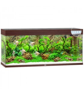 Акваріум Juwel прямий RIO 240 LED 121х55х41см 240л JUWEL - 1 - 