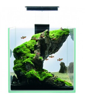 Акваріумний комплект «Міні-куб» 9,5 л Природа - 1 - 4823082416738