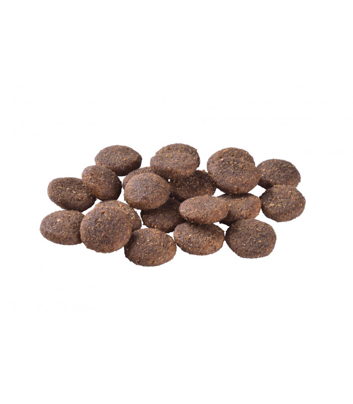 Корм для собак великих порід Brit Care Dog Hypoallergenic Adult Large Breed гіпоалергенний з ягням, 12+2 кг Brit Care - 4 - 8595