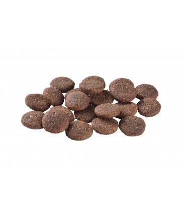 Корм для собак великих порід Brit Care Dog Hypoallergenic Adult Large Breed гіпоалергенний з ягням, 12+2 кг Brit Care - 4 - 8595