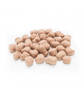 Ласощі для собак Brit Raw Treat freeze-dried Immunity для імунітету, ягня і курка, 40 г Brit Care - 1 - 8595602564453 2