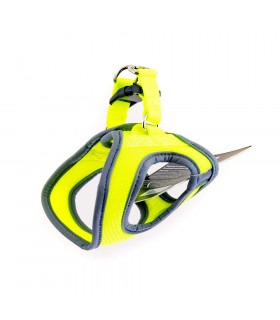 Шлея для собак Gimborn Alfresco неопрен GimDog - 1 -  2