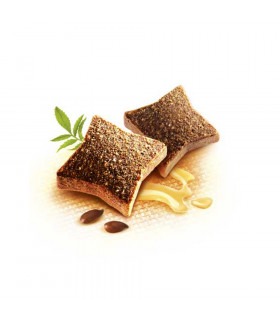 Вітаміни для собак Brit Vitamins Skin and Coat для шкіри і шерсті, 150 г Brit Care - 1 - 8595602562510 2