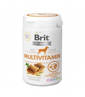 Вітаміни для собак Brit Vitamins Multivitamin для здоров'я, 150 г Brit Care - 1 - 8595602562527