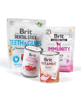 Подарунковий бокс для собак "Новорічний" Brit Care dog Brit Care - 1 - 2700000034958 2