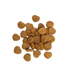 Хрусткі ласощі для котів Savory для здорового росту кошенят, індичка з журавлиною, 50 г Savory - 1 - 4820232631393 2