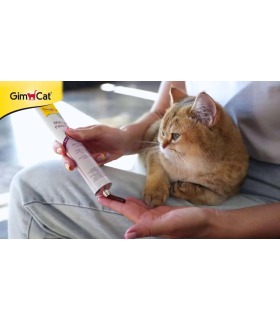 Паста для виведення шерсті зі шлунку GimCat Every Day Malt-Soft Paste Extra для котів GimCat - 1 -  2