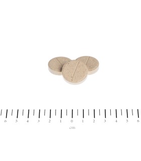 Вітаміни для собак Canina Biotin Forte Tabletten інтенсивний курс для шерсті Canina - 1 - 4027565101092 2