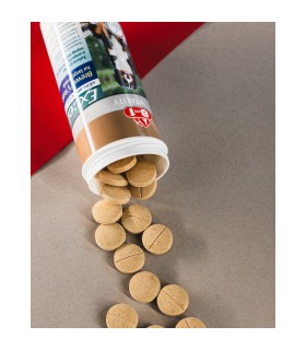 Вітаміни для собак великих порід 8in1 Excel «Brewers Yeast Large Breed» пивні дріжджі з часником 80 шт 8in1 - 1 - 4048422109525 2