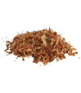 Наповнювач Trixie для тераріуму торфяной мох 4,5 л (100 грам) Trixie - 1 - 4011905761589