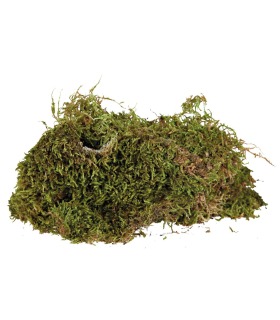 Наповнювач Trixie для тераріуму мох 200г Trixie - 1 - 4011905761558