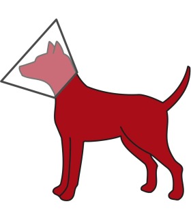 Ветеринарний комір для собак, Trixie на липучці (пластик) Trixie - 1 -  2