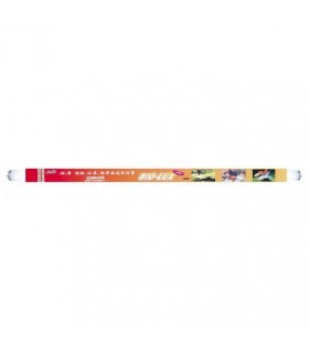 Лампа KW Zone люмінесцентна AIM Bio-Lux 1198мм/40Вт/Tube T8 KW-Zone - 1 - 6938104012572