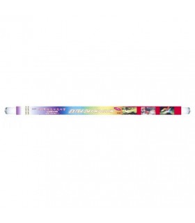 Лампа KW Zone люмінесцентна AIM Extra Day Hi-Glow 595мм/20Вт/Tube T8 KW-Zone - 1 - 6938104013548