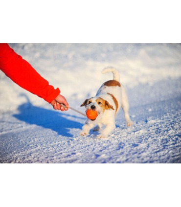 М'ячик для собак ЛАЙКЕР Корд на шнурі ЛАЙКЕР - 3 - 