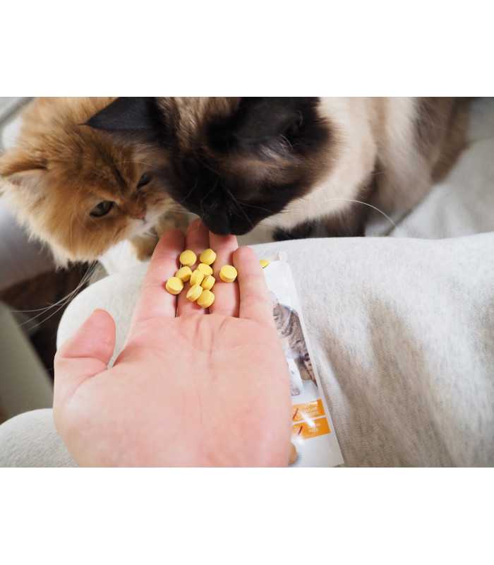 Вітамінізовані таблетки для котів GimCat Kase Rollis сирні кульки, пауч, 425 г GimCat - 3 - 4002064419510