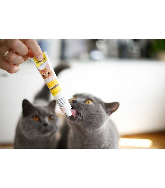 Паста для котів GimCat DUO PASTE Multi-vitamin 12 vitamins with cheese 12 вітамінів та сир, 50 г GimCat - 3 - 4002064421841