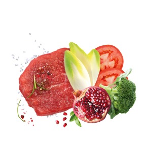 Exclusion Puppy Tuna Large Breed корм для цуценят великих порід  12 кг Exclusion - 1 - 8011259004468 2