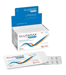 Харчова добавка для собак і котів Candioli Glutamax® Advanced для підпримки функцій печінки  - 1 - 