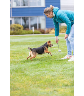 Trixie куля з мотузкою для собак, натуральна гума 6 х 30 см Trixie 3454 - 1 - 4047974345412 2