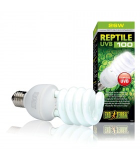 Лампа тераріумна ExoTerra REPTI GLO 5.0 для тропічних рептилій ультрафіолетова люмінесцентна UVB100 26Вт Е27 Exo Terra - 1 - 015