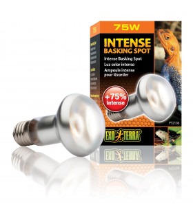 Лампа тераріумна ExoTerra DAYLIGHT BASKING SPOT для тераріумних тварин денна обігріваюча дзеркальна S20/75Вт Exo Terra - 1 - 015