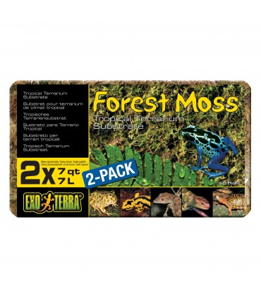 Субстрат ExoTerra Forest Moss для тераріумних тварин 500г Exo Terra - 1 - 015561230957