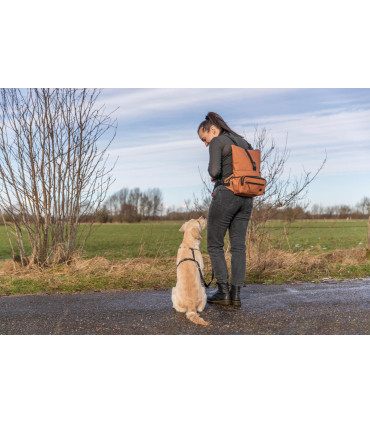 Сумка-рюкзак з поясним ременем Trixie пояс 55-130 см Trixie 28867 - 7 - 4047974288672