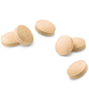 Вітаміни для покращення стану шкіри та шерсті з маскарпоне та біотином GimCat NUTRI BIOTIN BITES для котів 425 г G-419695 GimCat