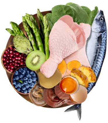 Сухий корм для собак беззерновий Charm Cage-Free Chicken курка вільного випасу CHARM - 3 - 