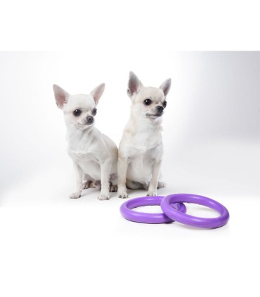 Тренувальне кільце для собак PULLER  - 4 - 