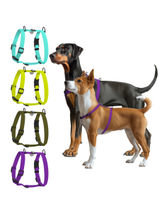 Шлея анатомічна водостійка для собак WAUDOG Magnet з QR-паспортом, магнітна пряжка-фастекс