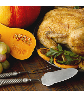 Напіввологий корм для собак Orygo з індичкою та гарбузом 2