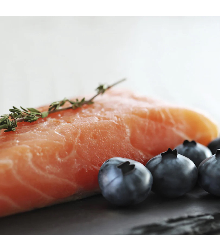 Напіввологий корм для дорослих собак всіх порід Orygo Salmon з лососем, Світ Корму