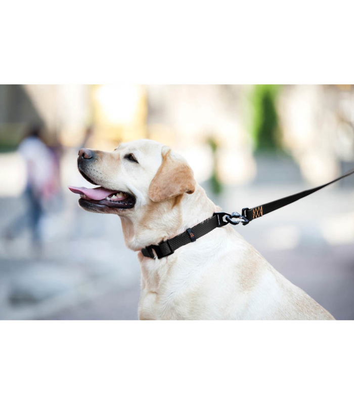 Надміцний регульований нашийник для собак EVOLUTOR